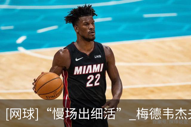 [网球]“慢场出细活” 梅德韦杰夫闯过维也纳首轮关